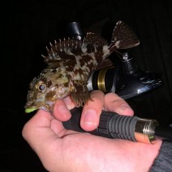 ライトゲーム！フォールで連発！