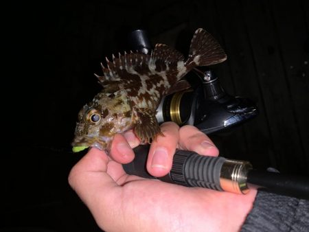 ライトゲーム！フォールで連発！