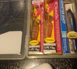 家族でイカ釣り