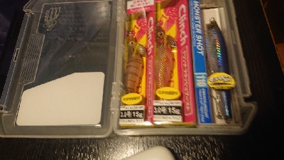 家族でイカ釣り