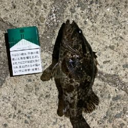 久々のフィッシング。