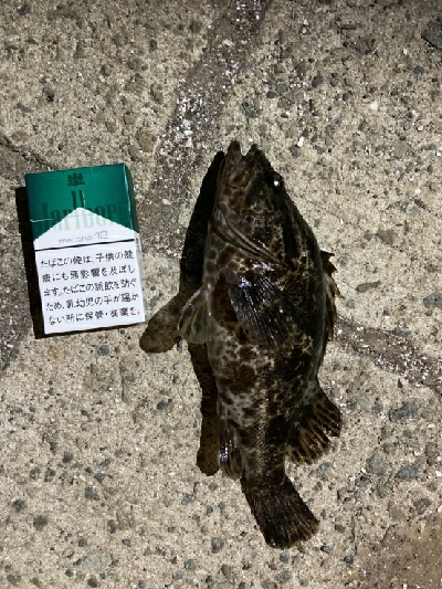 久々のフィッシング。