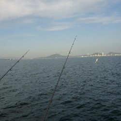 一等地に入れず鰤にはまた逢えず…