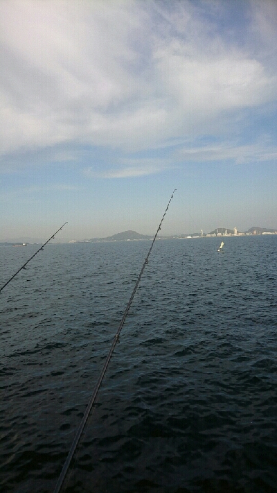 一等地に入れず鰤にはまた逢えず…