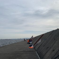 武庫川一文字　情報