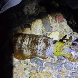 フロートアジング