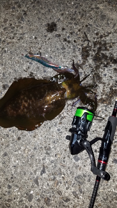 ニューロッド　スミツケ