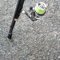 エギングだー！