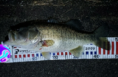 デスレイク‼️…