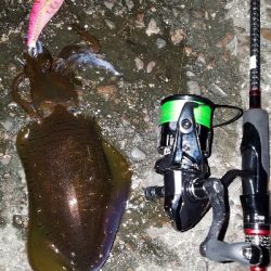 朝ﾏｽﾞﾒ前に