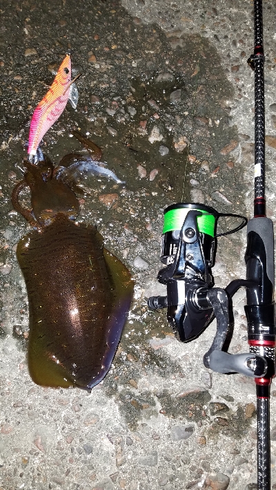 朝ﾏｽﾞﾒ前に