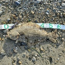 人生初ヒラメフィッシュ！！！！