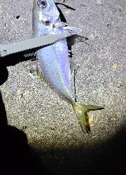 フロートアジング