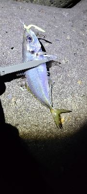 フロートアジング