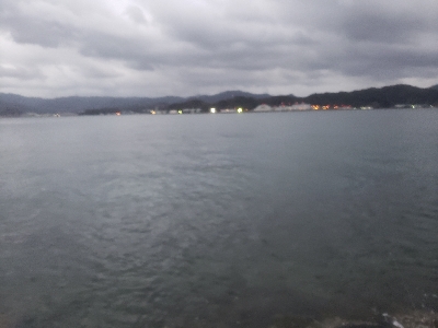 やっと本命が釣れました