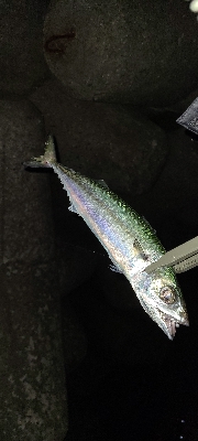 フロートアジング