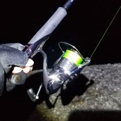 短時間エギング