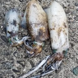 短時間で超満足