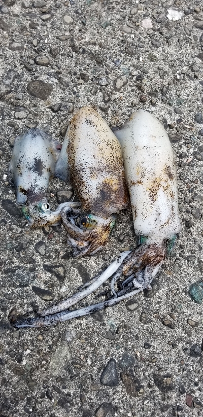 短時間で超満足