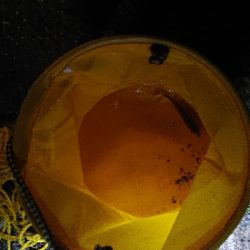 風が強い中の釣り