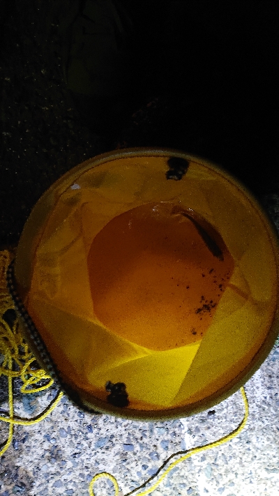 風が強い中の釣り