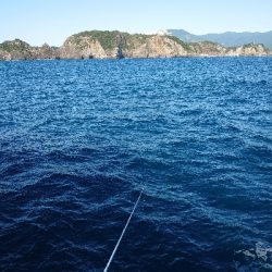 勝浦山成でグレ釣り