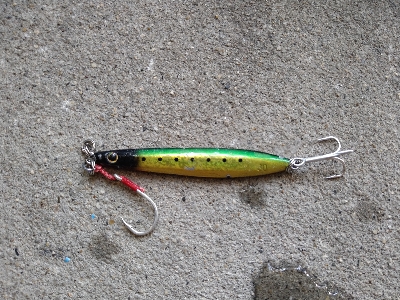 何とか坊主逃れ3