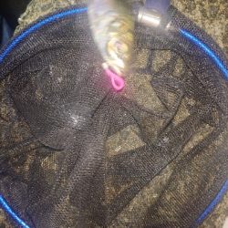 ライトゲーム楽しい