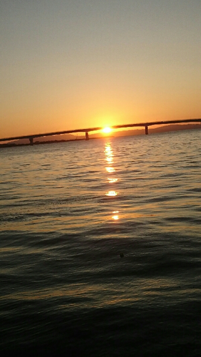 鰤に逢いたくてアジ、サバかよっ(T-T)