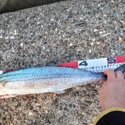 釣れて良かった！