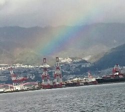 サゴシ、ハマチバラしモード挙げ句はサゴシカッター3発や！