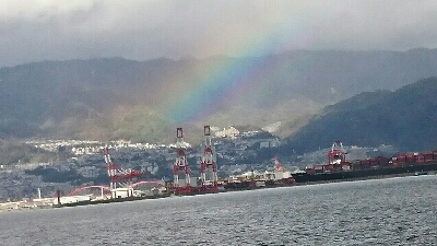 サゴシ、ハマチバラしモード挙げ句はサゴシカッター3発や！