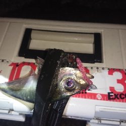 ジグ単アジング