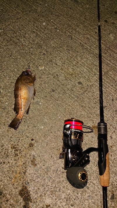 久しぶりにライトゲーム。