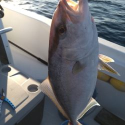 初スーパーライトジギング