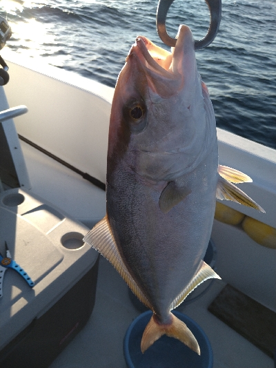 初スーパーライトジギング