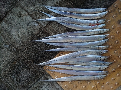 海南を舐め回す