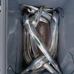 ワイヤースパッ