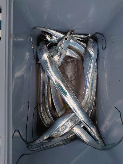 ワイヤースパッ