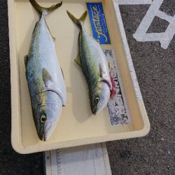 ファミリーフィッシング