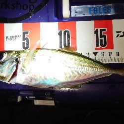 メッチャ引くで