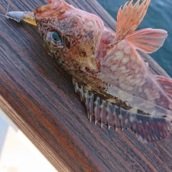 南港ガシリング