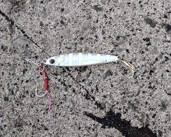 なかなか渋い状況です