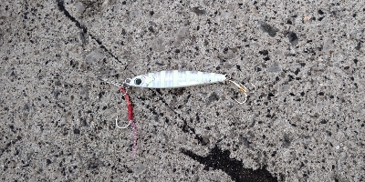 なかなか渋い状況です