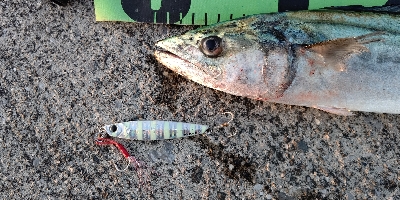 最低気温9℃の中