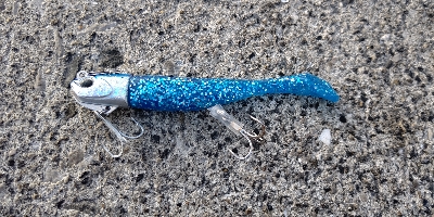 辛くもボウズ逃れる