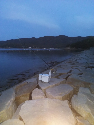 室津のキス釣り