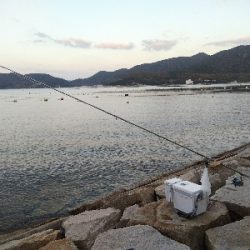 室津のキス釣り