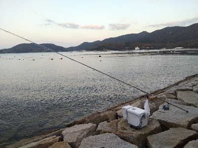 室津のキス釣り