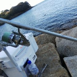 室津のキス釣り